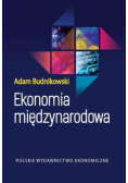 Ekonomia międzynarodowa
