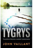 Tygrys