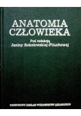 Anatomia człowieka