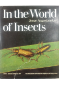 In the Word of Insects