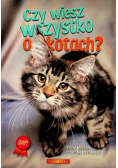 Czy wiesz wszystko o kotach
