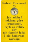 Jak zdobyć szklaną górę organizacji