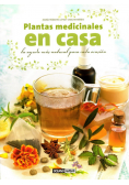 Plantas medicinales en casa