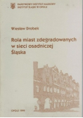 Rola miast zdegradowanych w sieci osadniczej
