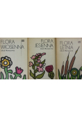 Flora wiosenna / Flora letnia / Flora jesienna