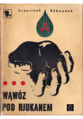 Wąwóz pod Rjukanem