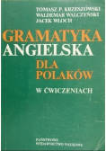 Gramatyka angielska dla Polaków w ćwiczeniach