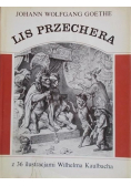 Lis przechera