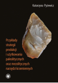 Przykłady strategii produkcji i użytkowania paleolitycznych oraz mezolitycznych narzędzi krzemiennych