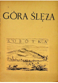 Góra Ślęża