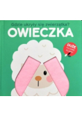 Gdzie ukryły się zwierzątka - Owieczka