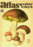Atlas grzybów leśnych