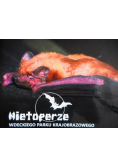 Nietoperze Wdeckiego parku krajobrazowego