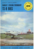 Samolot szkolno treningowy TS 8 BIES