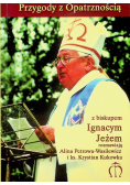 Przygody z Opatrznością