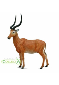 Hirola