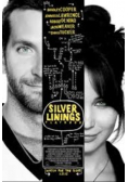 The silver linings play book
