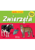 Zwierzęta
