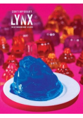 Lynx contemporary the art magazine issue  nr 1