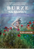 Burze na Słońcu