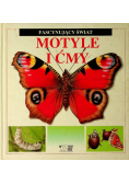 Motyle i ćmy
