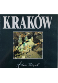 Kraków z lotu ptaka