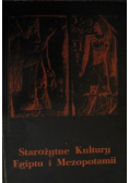Starożytne Kultury Egiptu i Mezopotamii