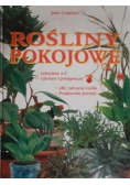 Rośliny pokojowe