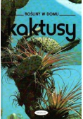 Rośliny w domu Kaktusy