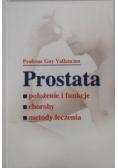 Prostata