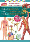 Encyklopedia ciała człowieka Układ nerwowy układ endokrynny i układ odpornościowy