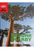 Jak powstają krajobrazy