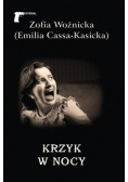 Krzyk w nocy