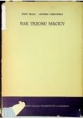 Rak trzonu macicy