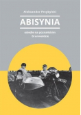Abisynia osiedle na poznańskim Grunwaldzie