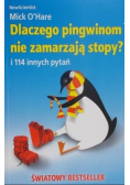 Dlaczego pingwinom nie zamarzają stopy