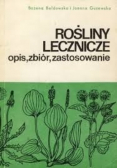 Rośliny lecznicze opis zbiór zastosowanie