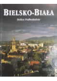 Bielsko-Biała stolica podbeskidzia