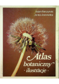 Atlas botaniczny ilustracje