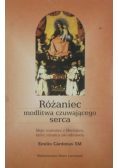 Różaniec  modlitwa czuwającego serca