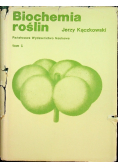 Biochemia roślin Tom I