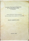 Piłka siatkowa