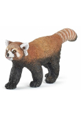 Panda czerwona