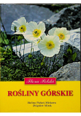 Rośliny górskie