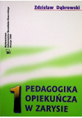 Pedagogika opiekuńcza w zarysie, Tom I