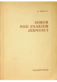 Sobór pod znakiem jedności