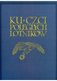 Ku czci poległych lotników