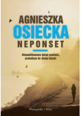 Neponset