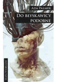 Do błyskawicy podobne