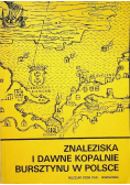 Znaleziska i dawne kopalnie bursztynu w Polsce